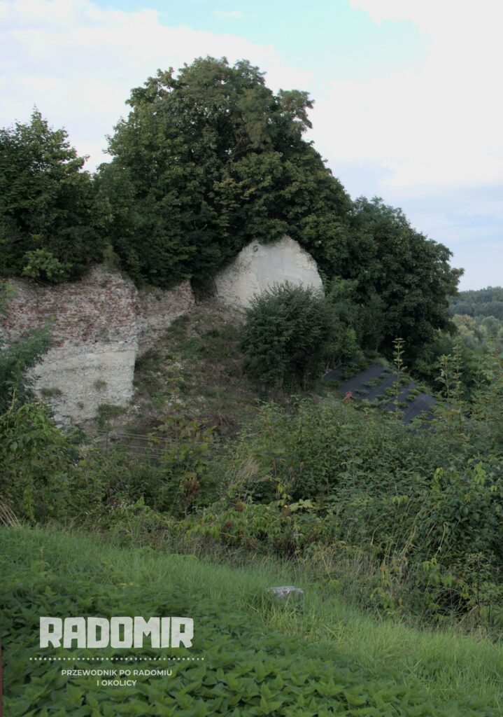 Zamek w Radomiu a zamek w Solcu nad Wisłą, Na zdjęciu krzaki, a pomiędzy nimi fragmenty białych skał
