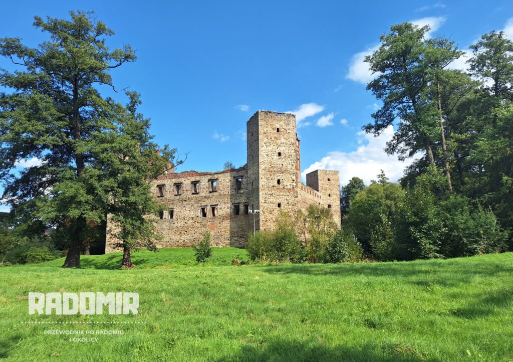 Zdjęcie kamiennego zamku z wieżami i wieloma oknami. Wokoło drzewa. Przed zamkiem zielona trawa.