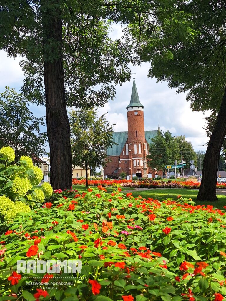 Na zdjęciu na pierwszym planie kwitnące na czerwono kwiaty. W tle, w środkowej części wysoka, czerwona wieża kościelna z seledynowym spadzistym dachem.