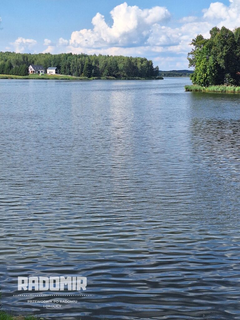 Zdjęcie jeziora na pierwszym planie. W oddali drzewa.